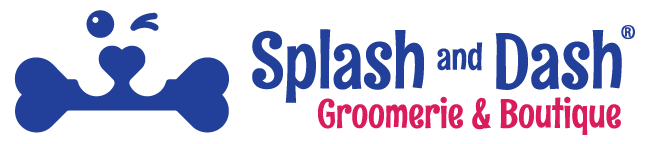 splash and dash logo